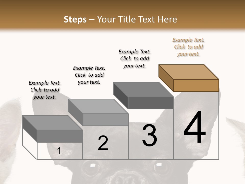 Indoors Pedigreed Studio PowerPoint Template
