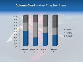 Swim Motion Reflection PowerPoint Template