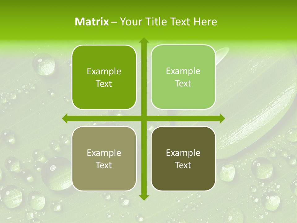 Summer Plant Dew PowerPoint Template