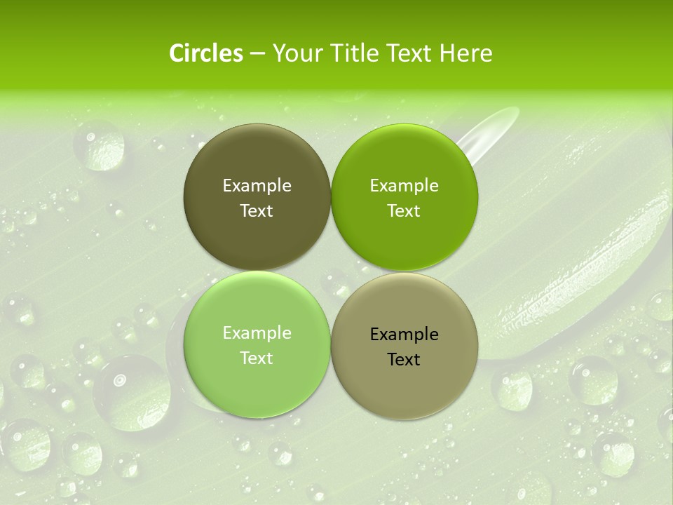 Summer Plant Dew PowerPoint Template