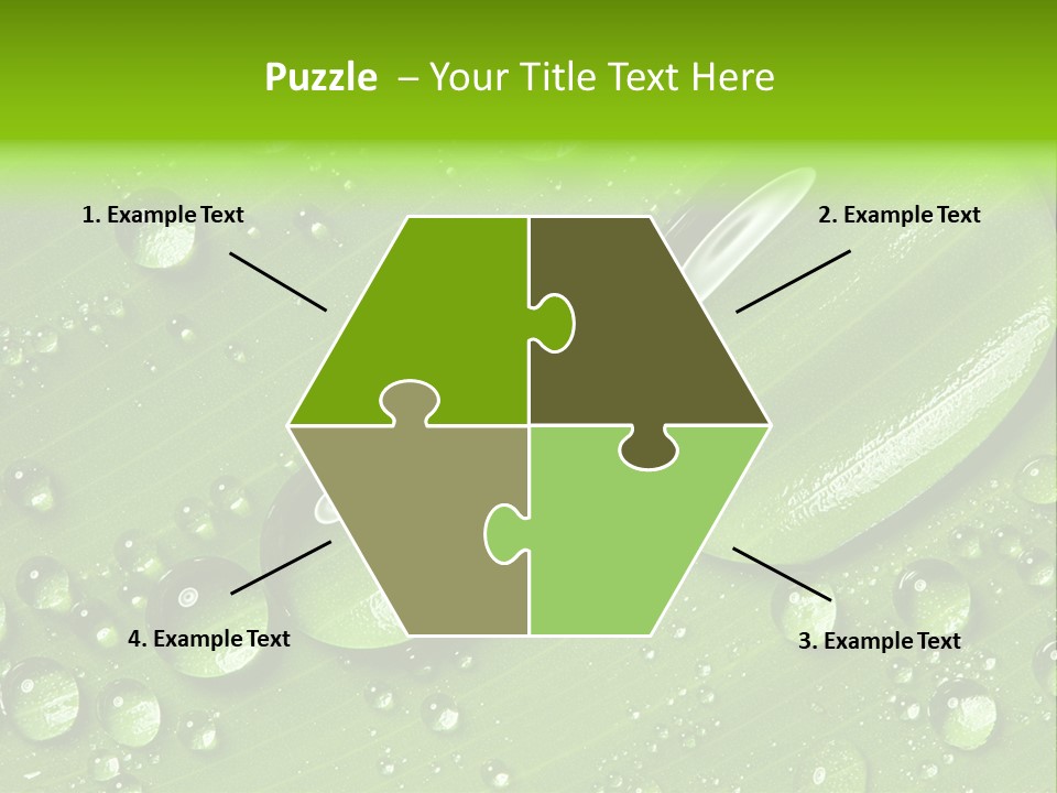 Summer Plant Dew PowerPoint Template