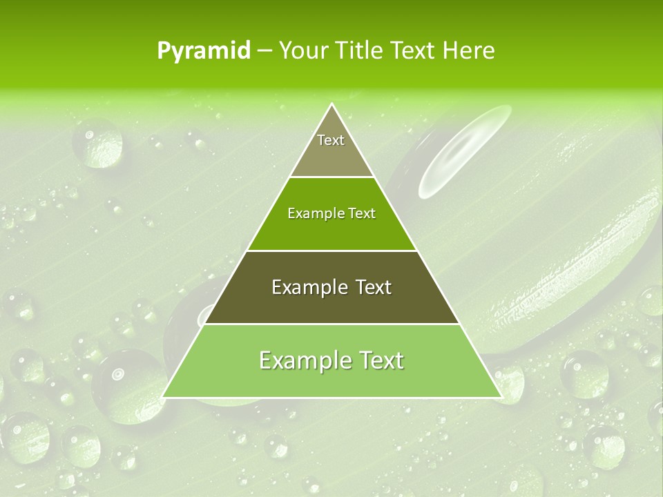 Summer Plant Dew PowerPoint Template