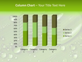 Summer Plant Dew PowerPoint Template