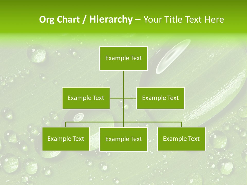 Summer Plant Dew PowerPoint Template