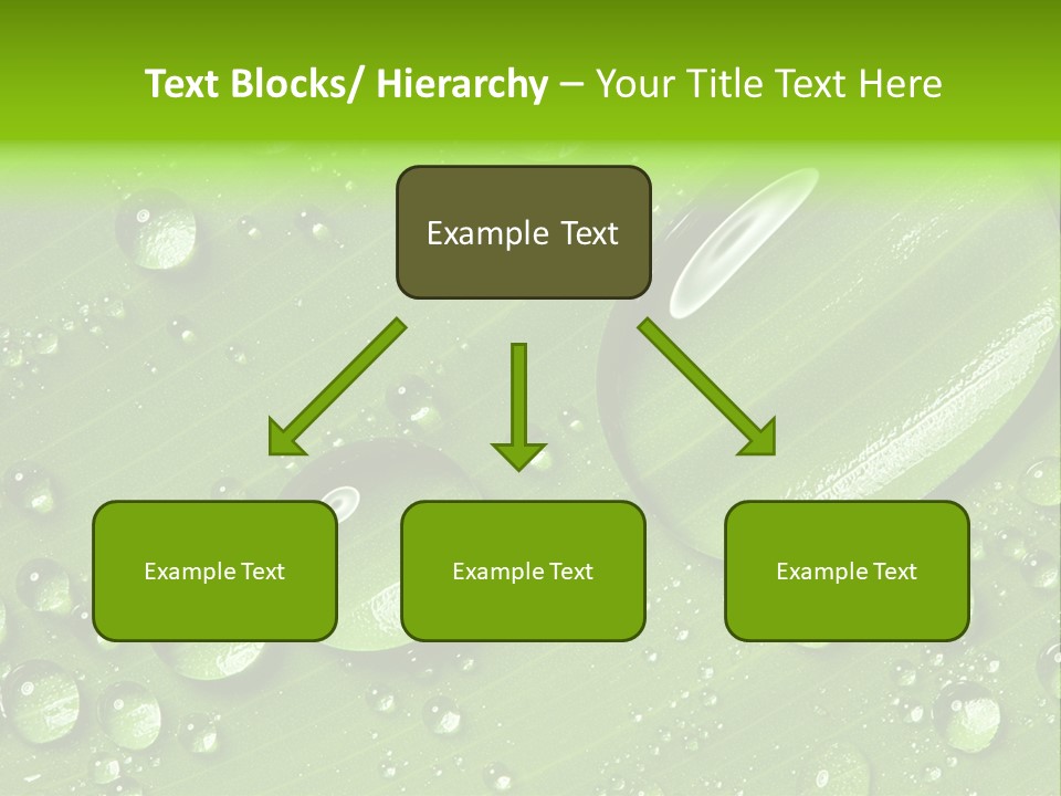 Summer Plant Dew PowerPoint Template