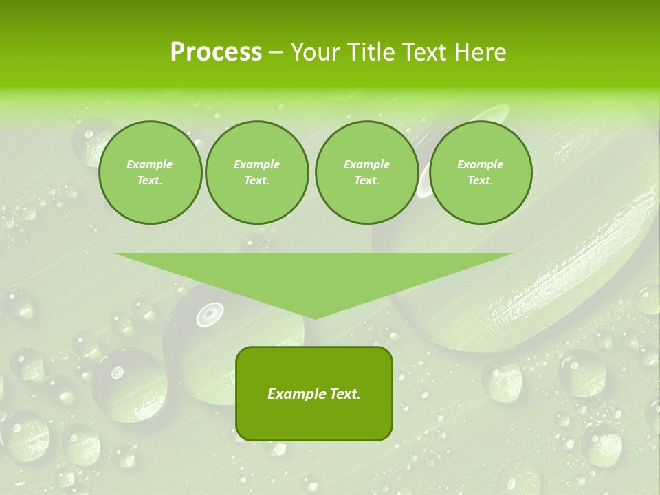 Summer Plant Dew PowerPoint Template