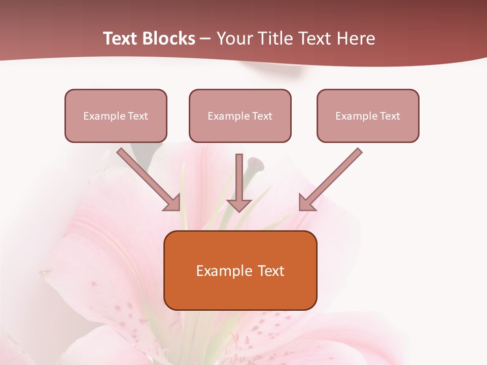 A Woman's Nails With Pink Flowers On Them PowerPoint Template