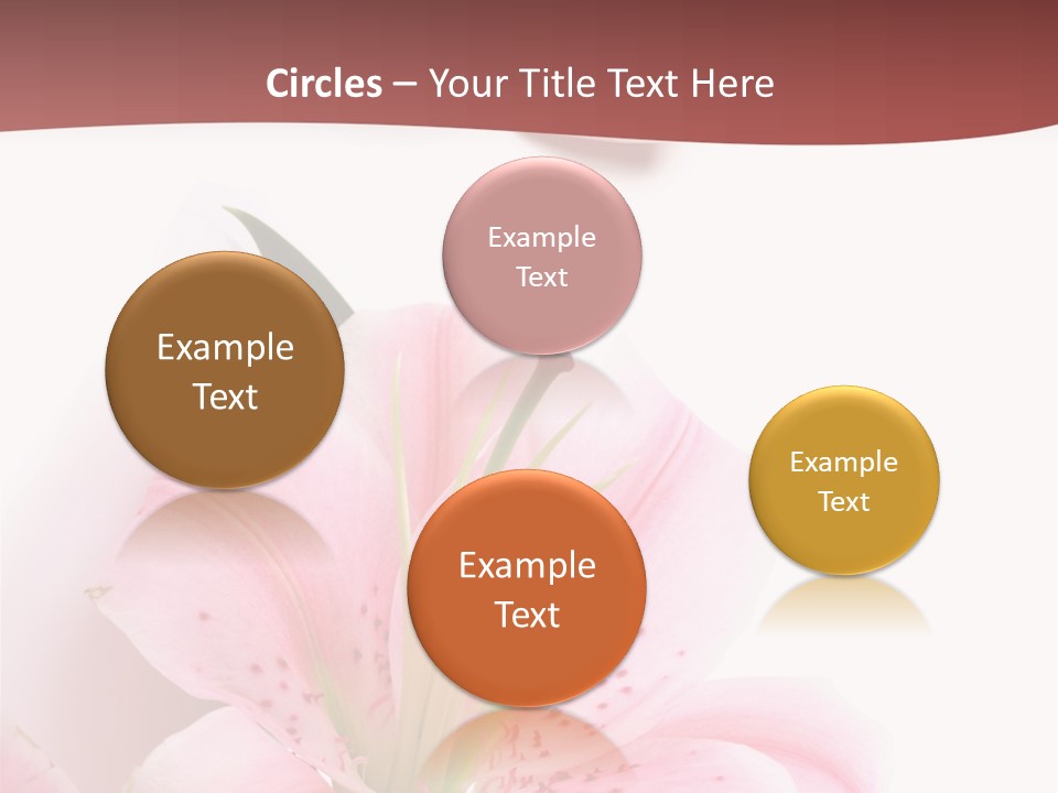 A Woman's Nails With Pink Flowers On Them PowerPoint Template