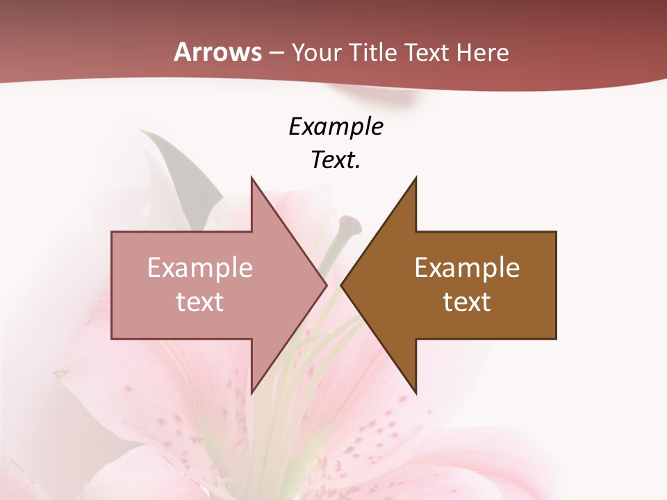 A Woman's Nails With Pink Flowers On Them PowerPoint Template