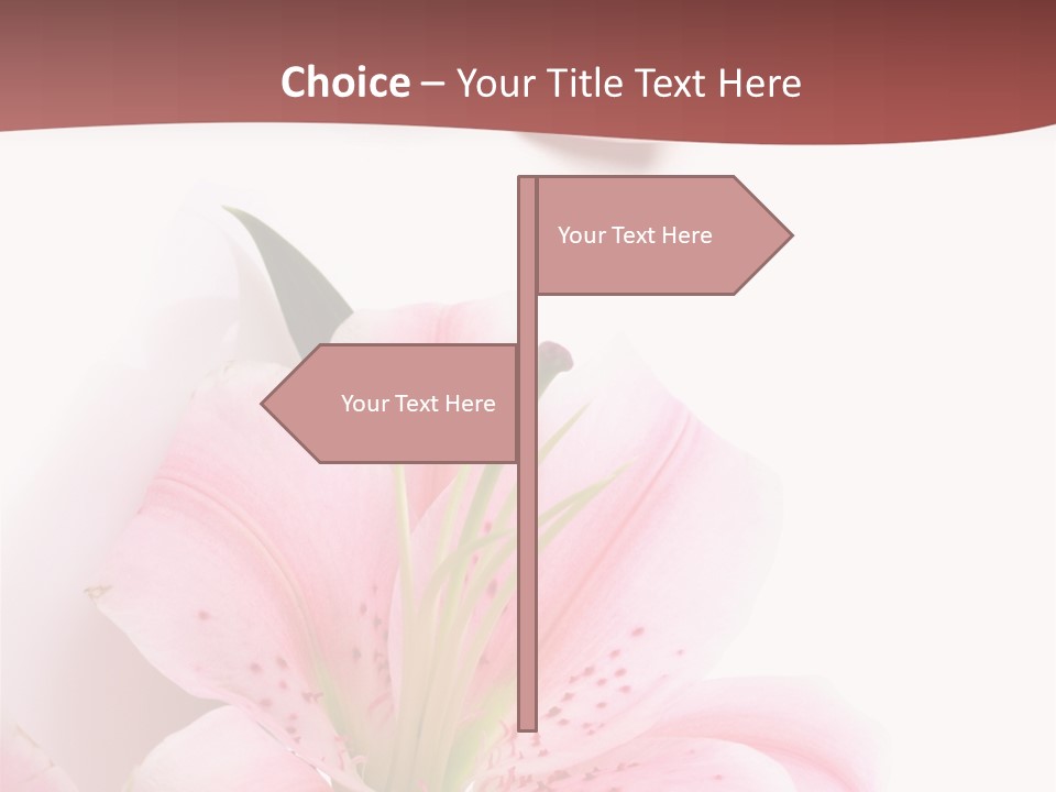 A Woman's Nails With Pink Flowers On Them PowerPoint Template