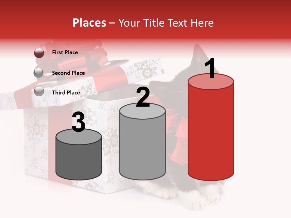 Profile Box Themes PowerPoint Template