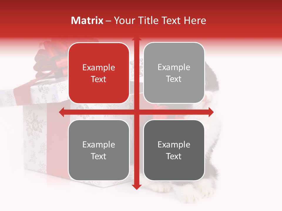 Profile Box Themes PowerPoint Template