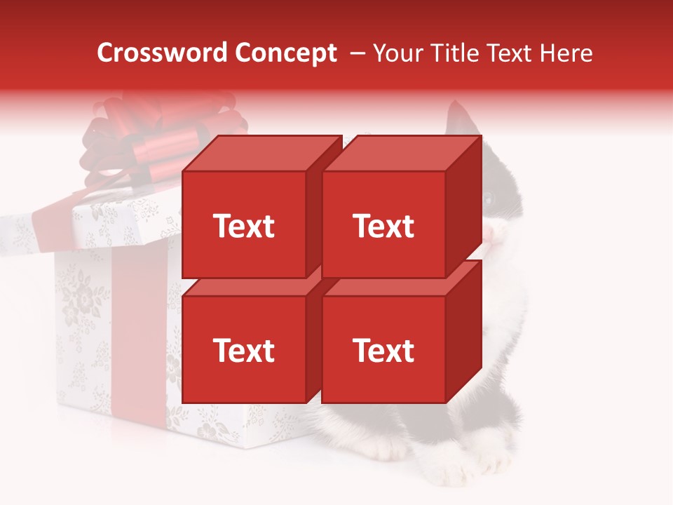 Profile Box Themes PowerPoint Template