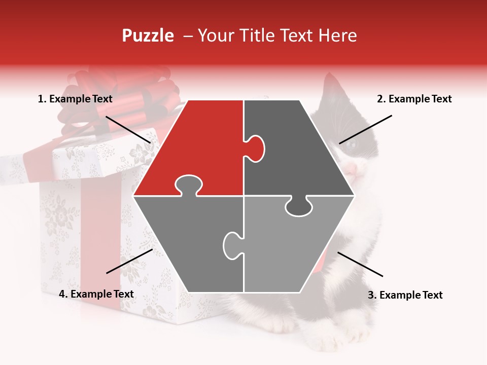 Profile Box Themes PowerPoint Template