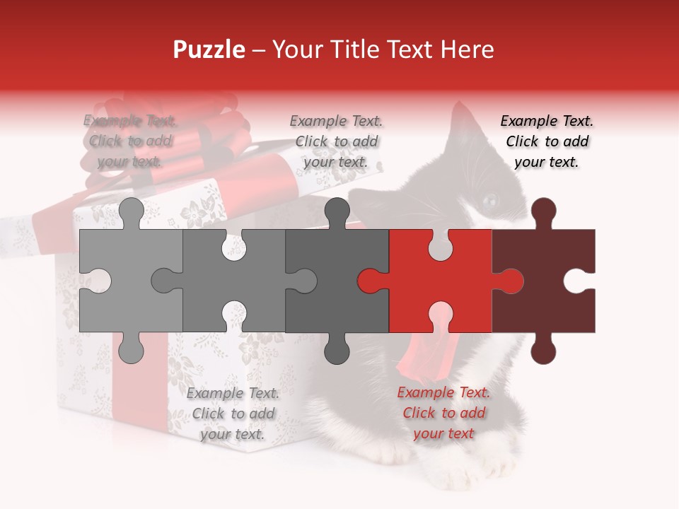 Profile Box Themes PowerPoint Template