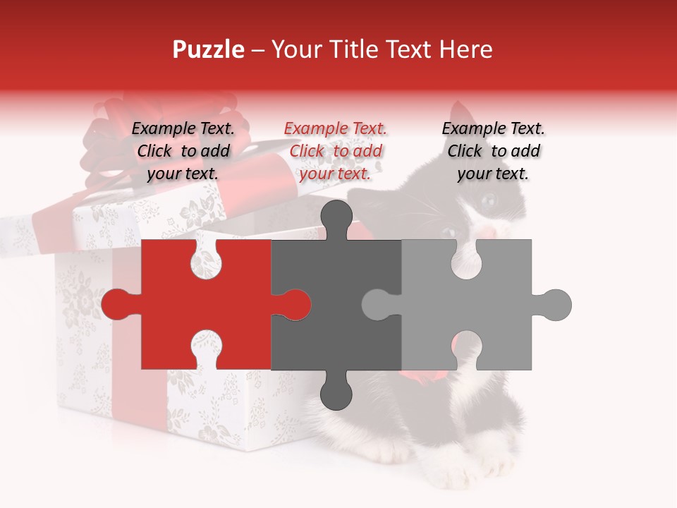 Profile Box Themes PowerPoint Template