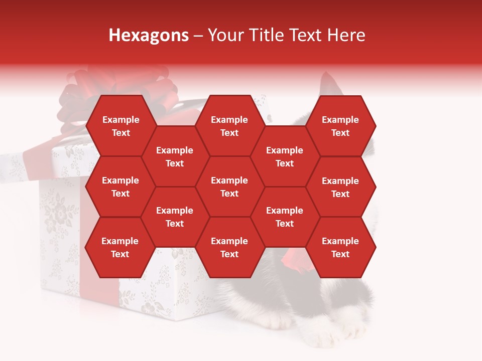 Profile Box Themes PowerPoint Template