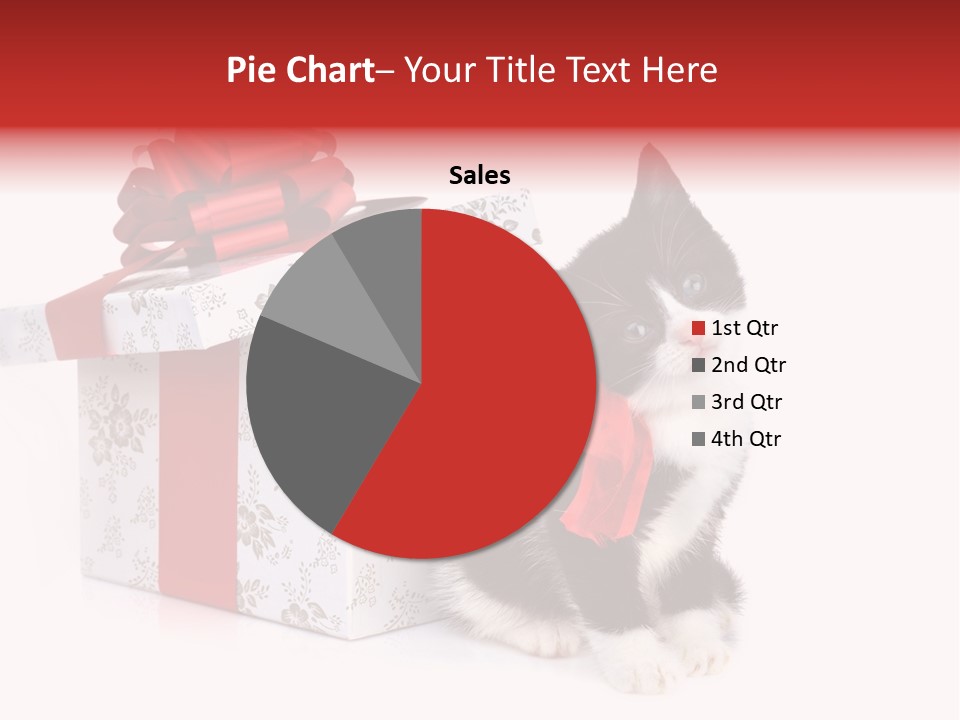 Profile Box Themes PowerPoint Template