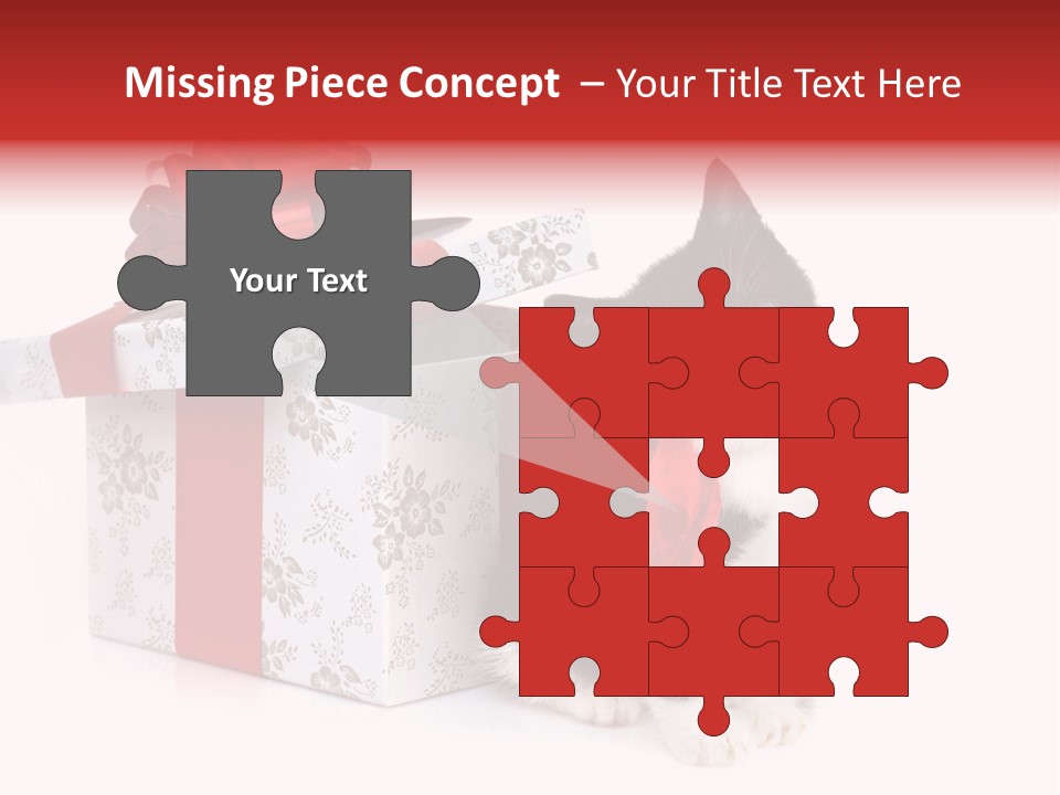 Profile Box Themes PowerPoint Template