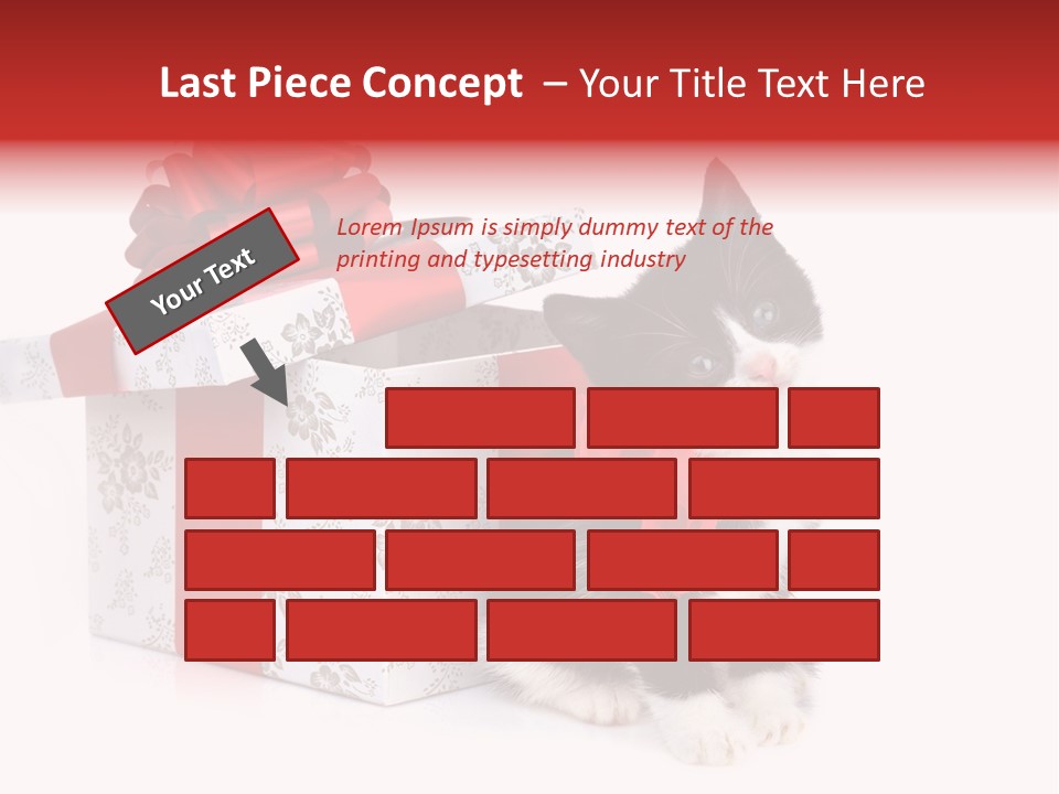 Profile Box Themes PowerPoint Template