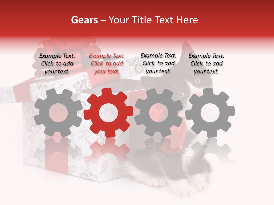 Profile Box Themes PowerPoint Template