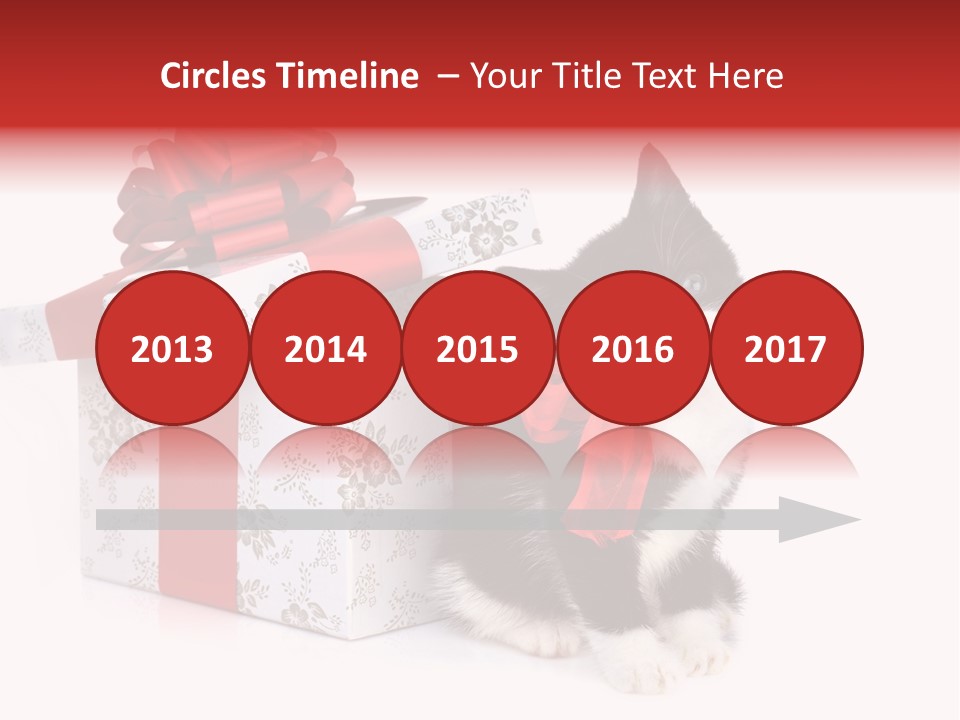 Profile Box Themes PowerPoint Template