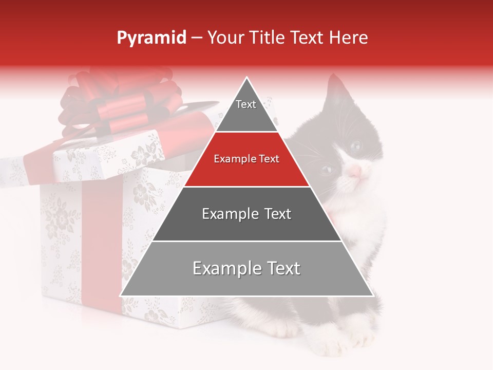 Profile Box Themes PowerPoint Template