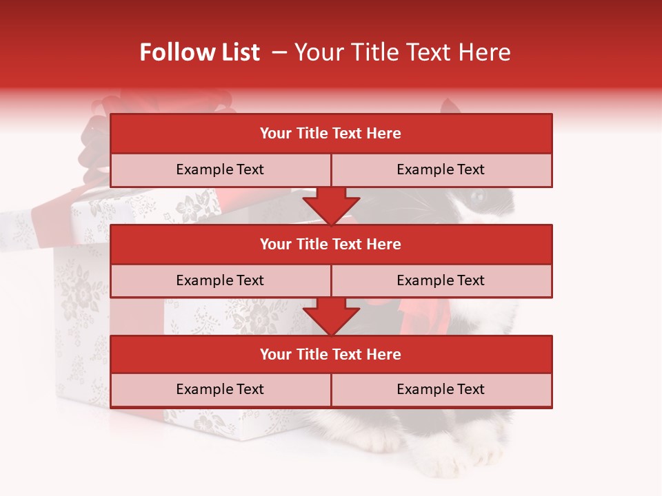 Profile Box Themes PowerPoint Template