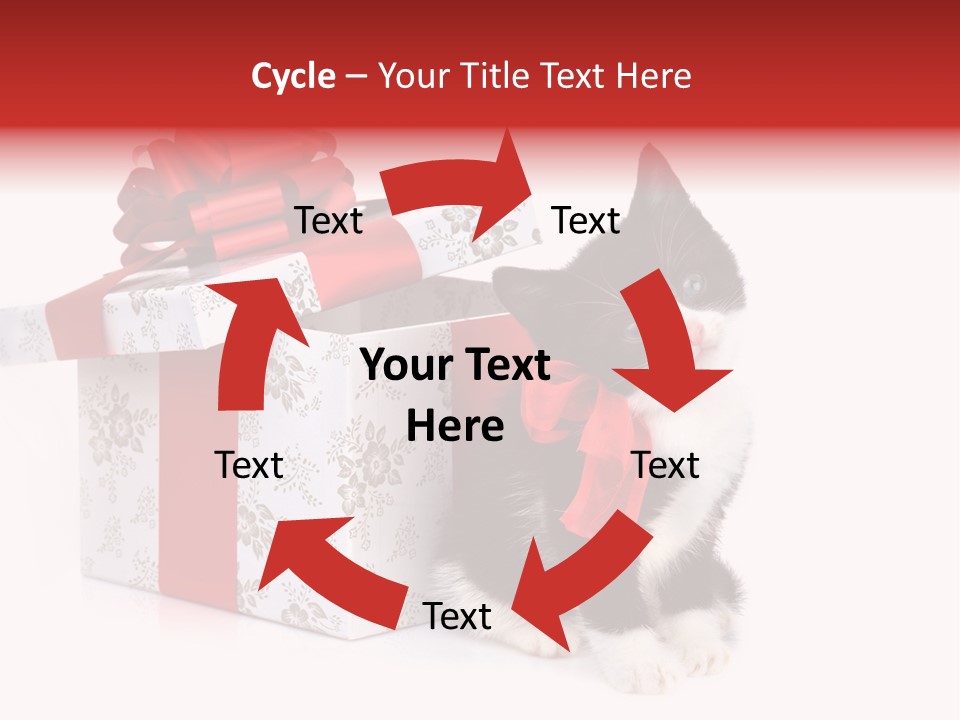 Profile Box Themes PowerPoint Template