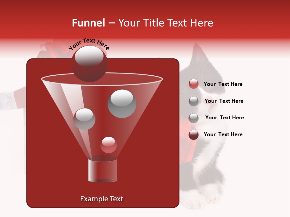 Profile Box Themes PowerPoint Template