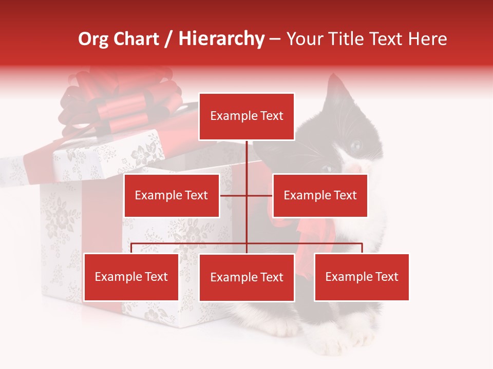 Profile Box Themes PowerPoint Template