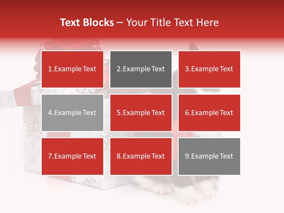 Profile Box Themes PowerPoint Template