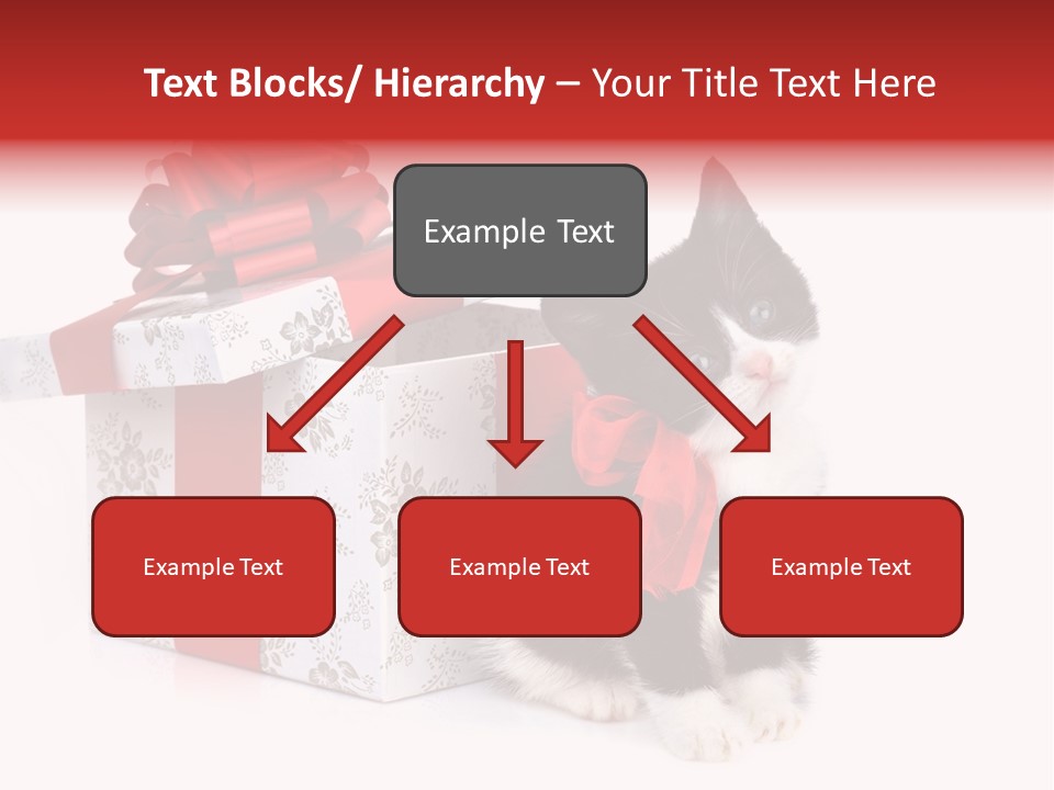 Profile Box Themes PowerPoint Template