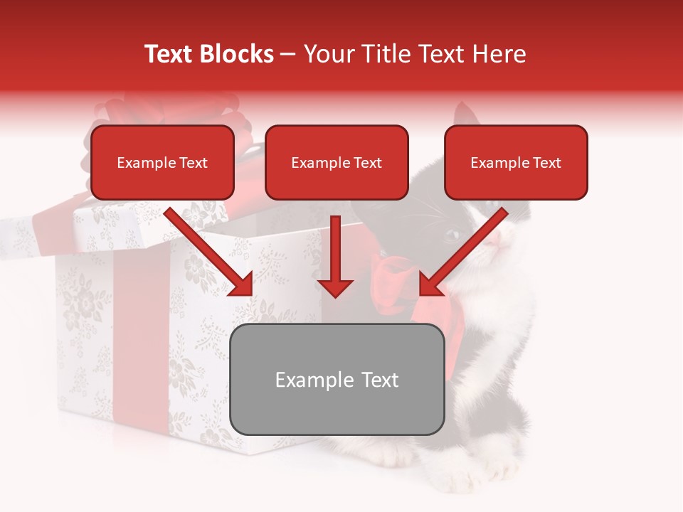 Profile Box Themes PowerPoint Template