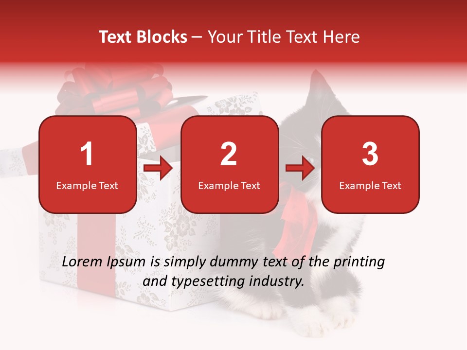 Profile Box Themes PowerPoint Template