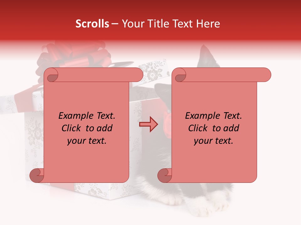 Profile Box Themes PowerPoint Template
