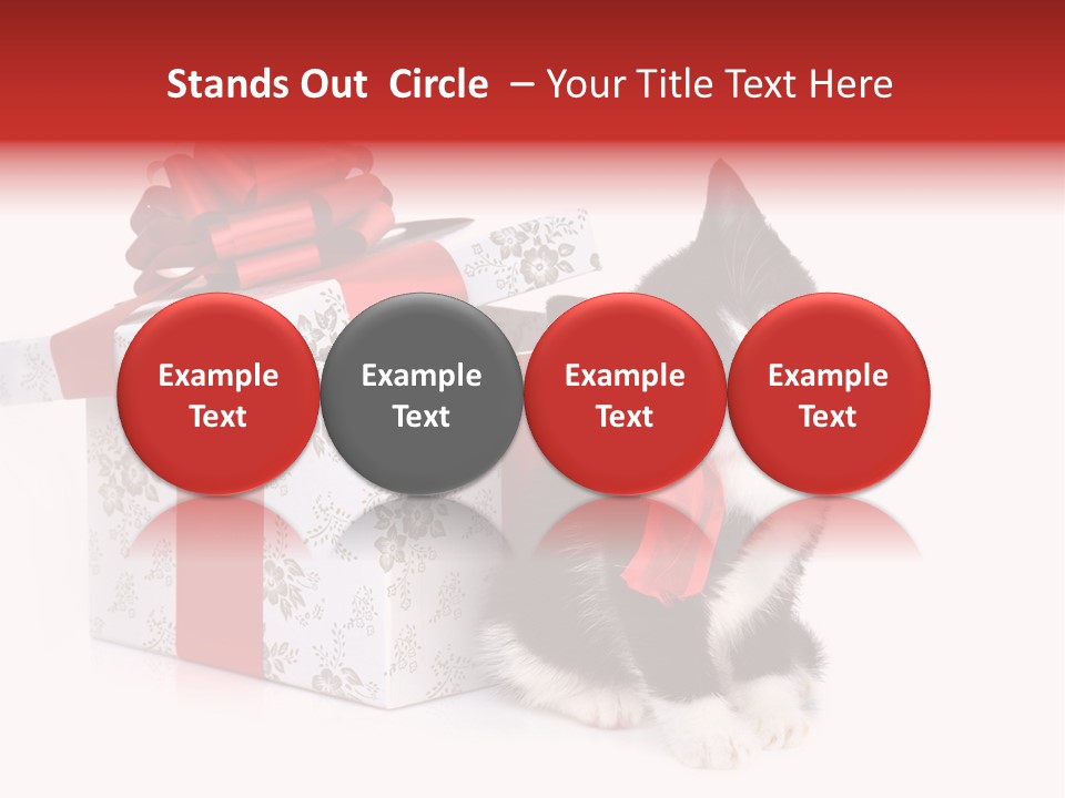 Profile Box Themes PowerPoint Template