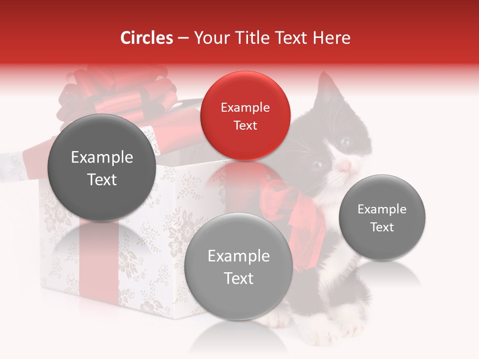Profile Box Themes PowerPoint Template