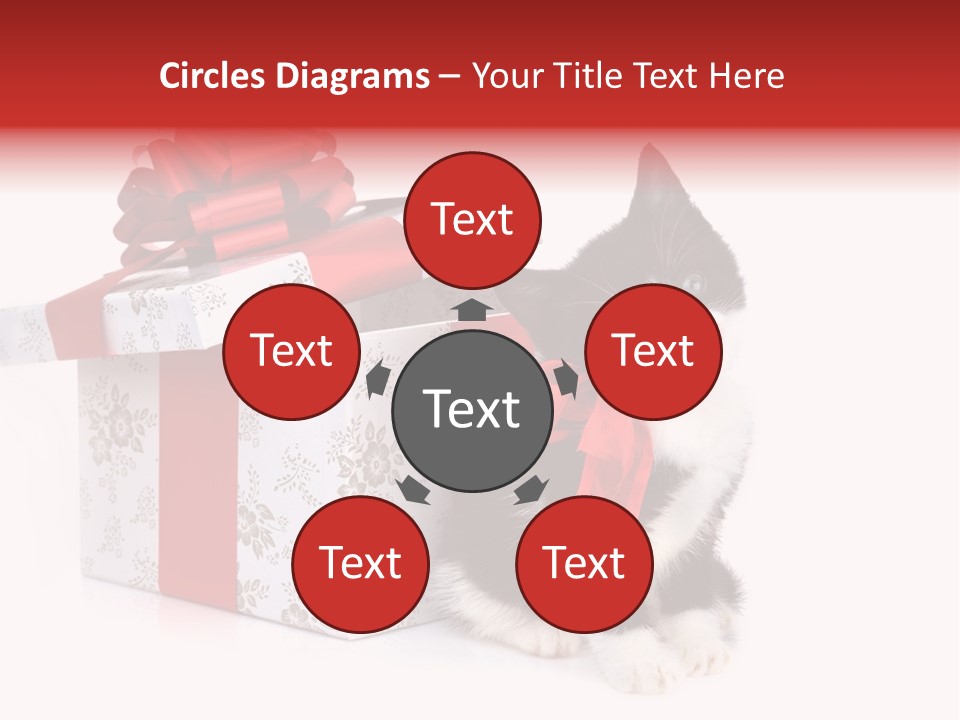 Profile Box Themes PowerPoint Template