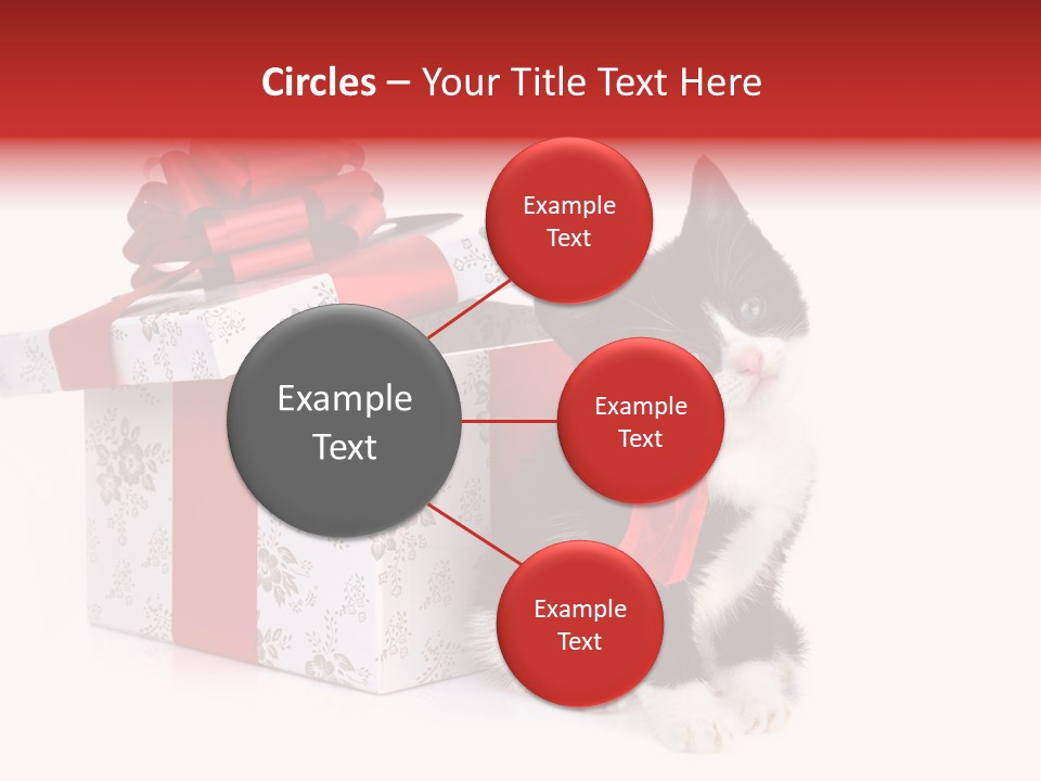 Profile Box Themes PowerPoint Template