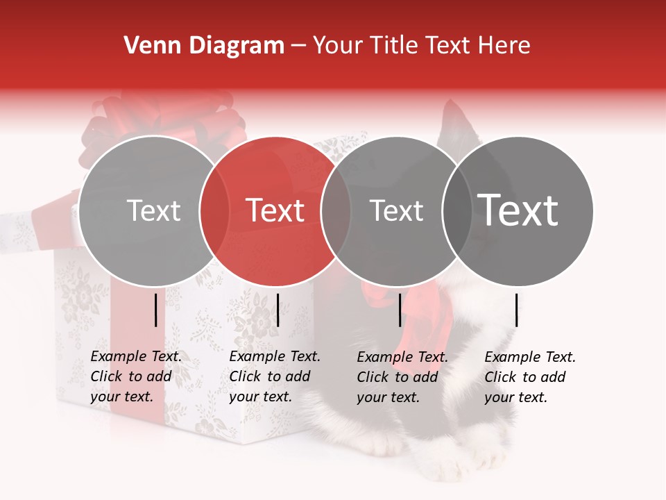 Profile Box Themes PowerPoint Template
