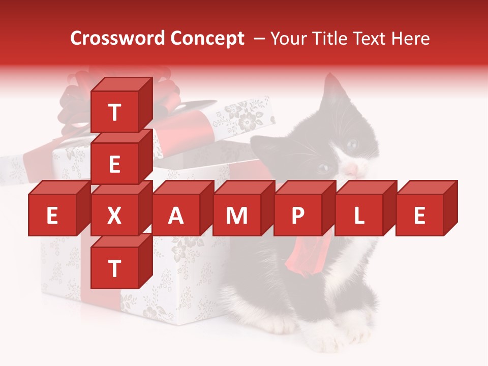 Profile Box Themes PowerPoint Template