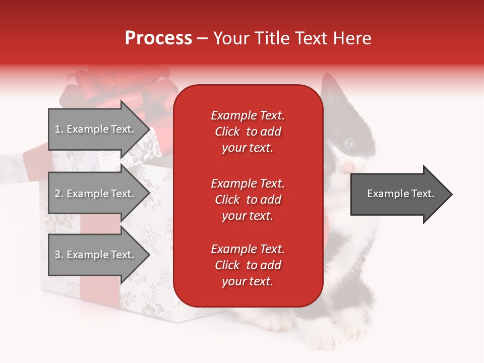Profile Box Themes PowerPoint Template