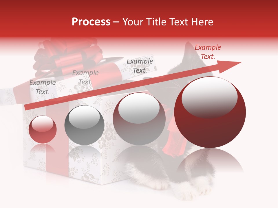 Profile Box Themes PowerPoint Template