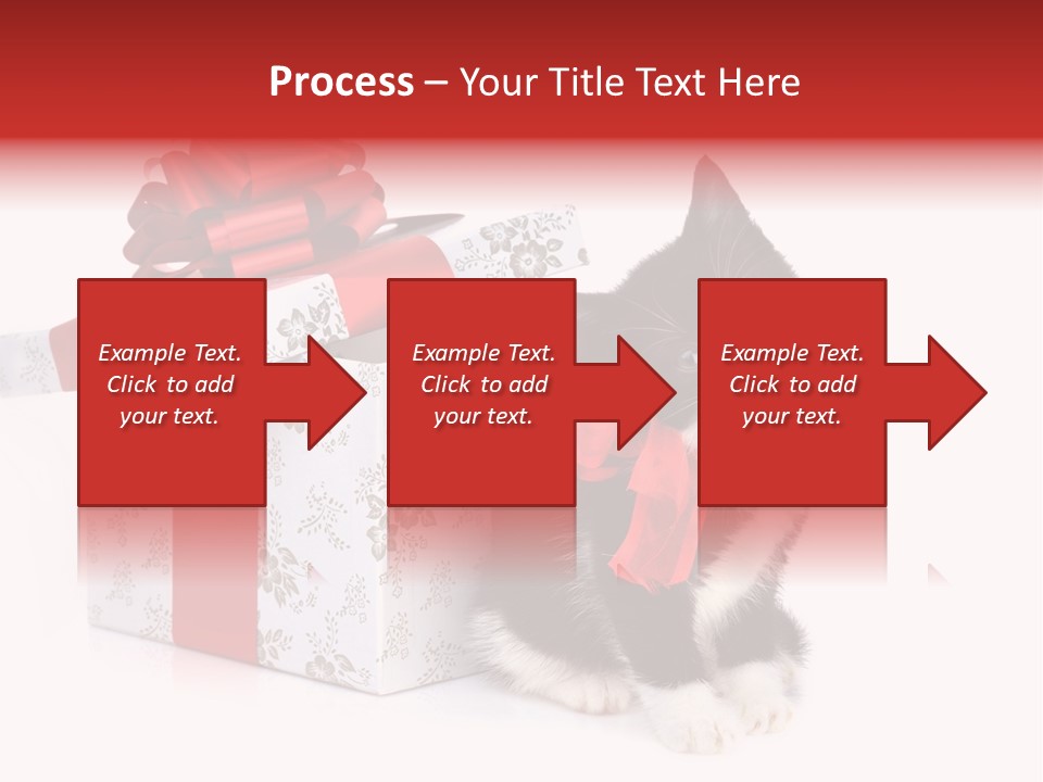 Profile Box Themes PowerPoint Template