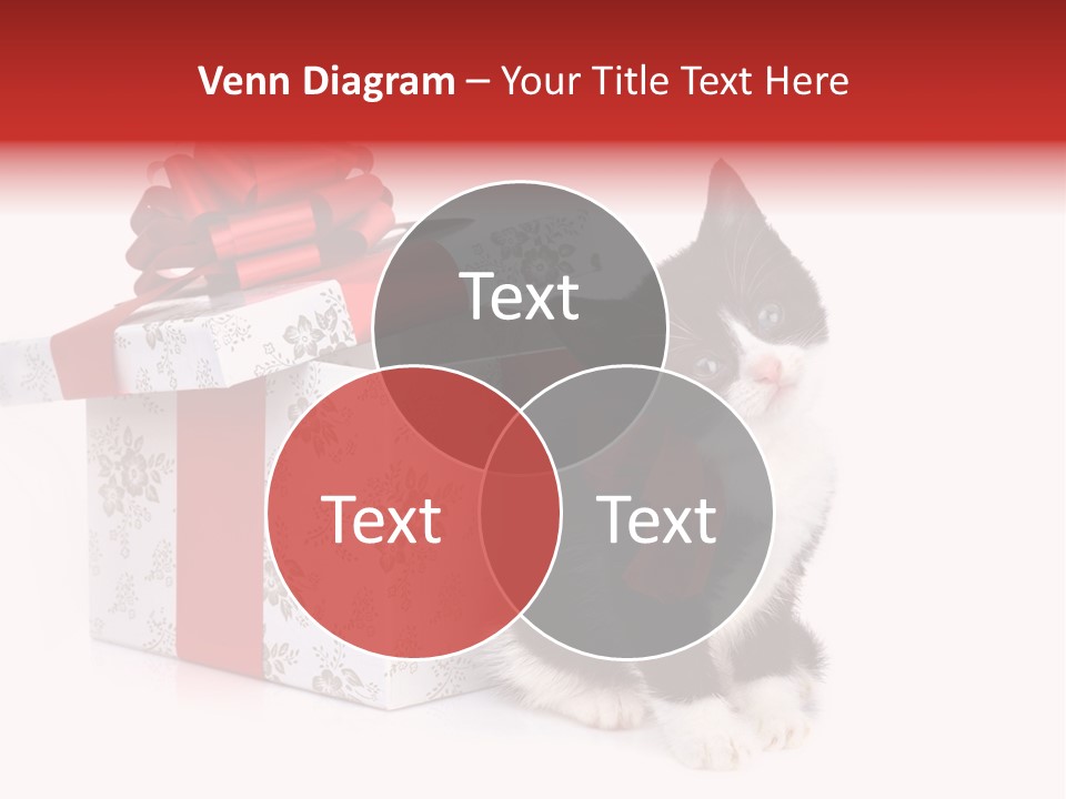 Profile Box Themes PowerPoint Template