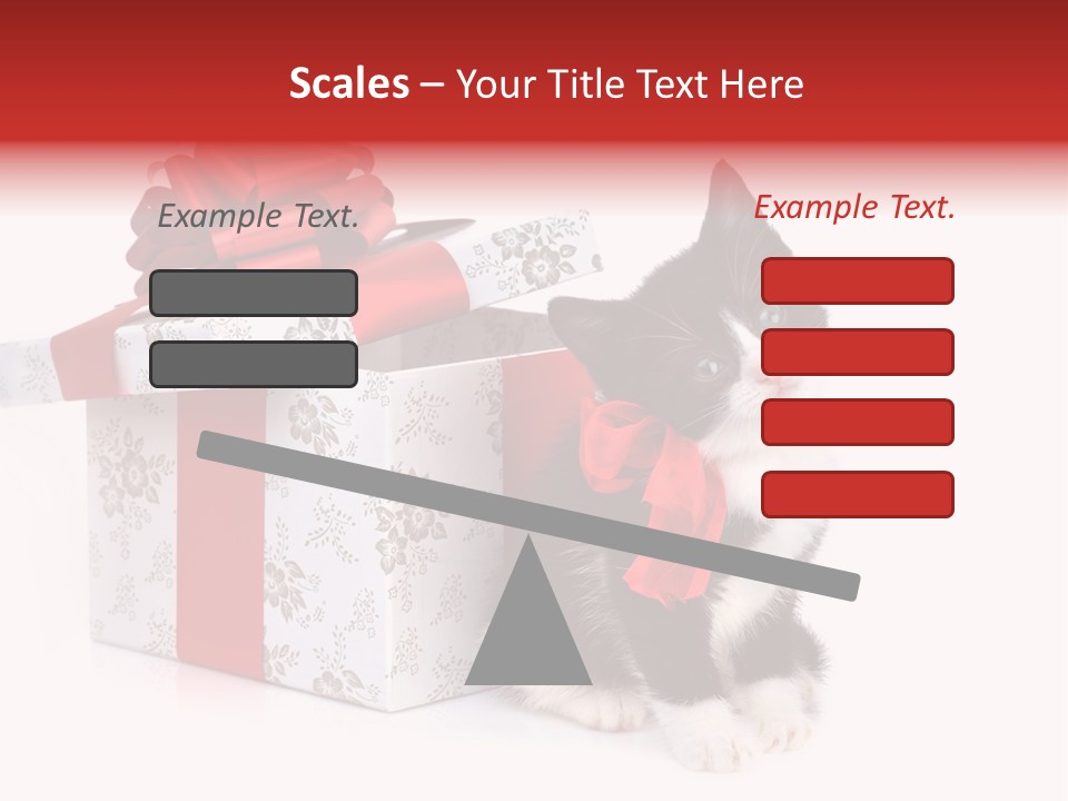 Profile Box Themes PowerPoint Template