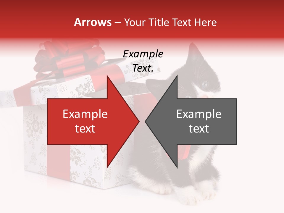 Profile Box Themes PowerPoint Template