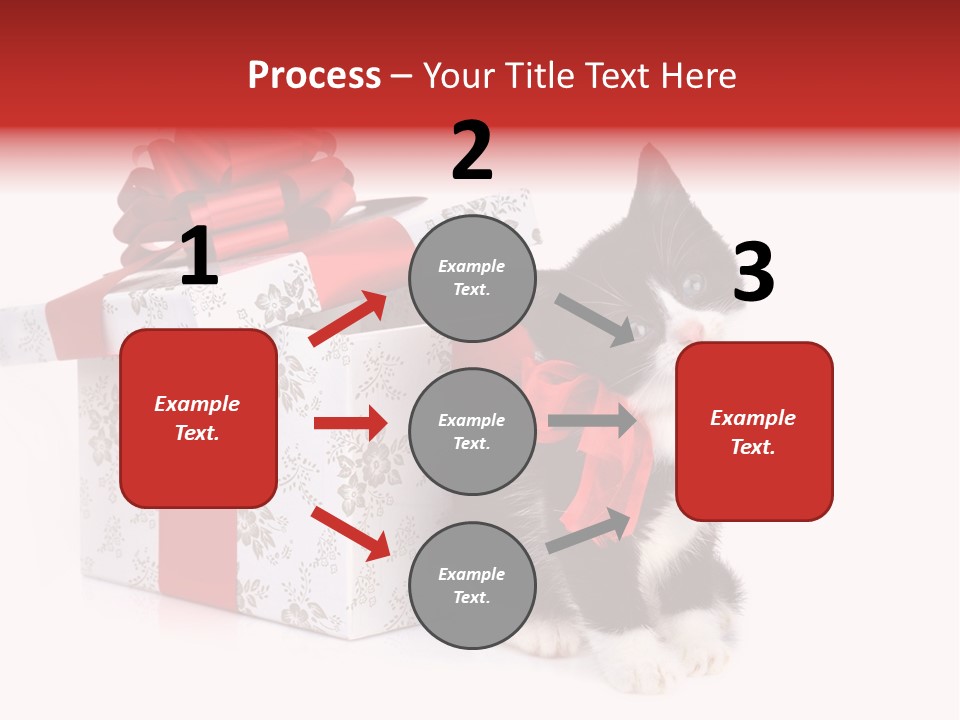 Profile Box Themes PowerPoint Template