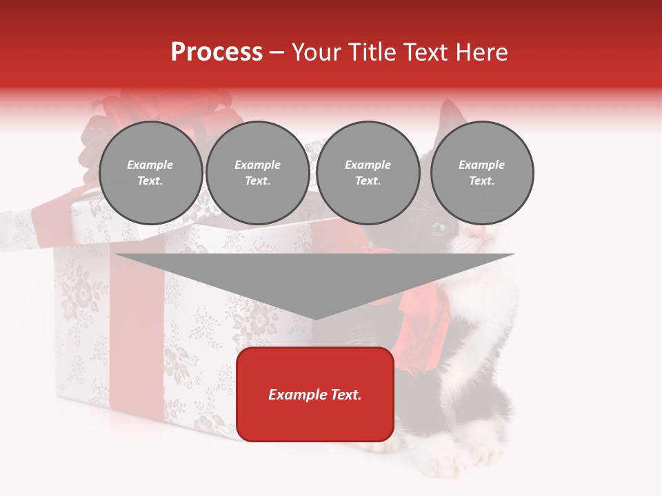 Profile Box Themes PowerPoint Template